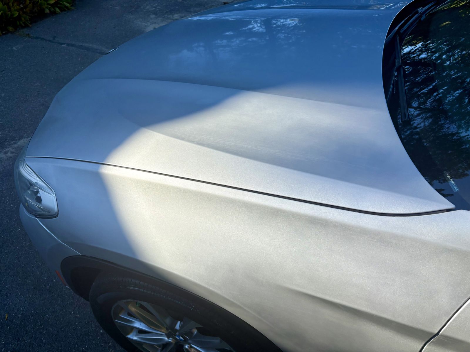 Hood and fender, front corner